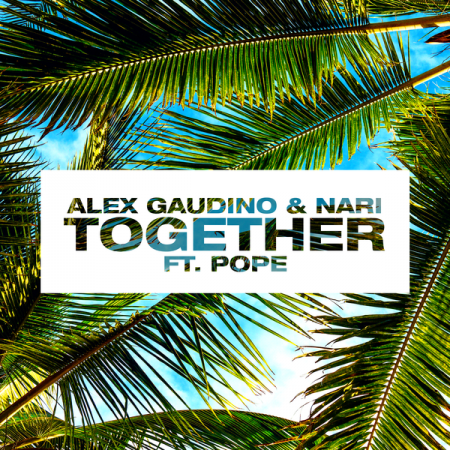 Alex Gaudino & Nari ft. Pope - Together