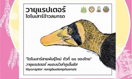 Tailandda yangi turdagi dinozavrning qoldiqlari topildi